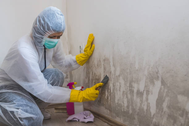 Best Mold Removal Process  in Sutherlin, OR