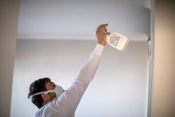Best Local Mold Removal Service  in Sutherlin, OR