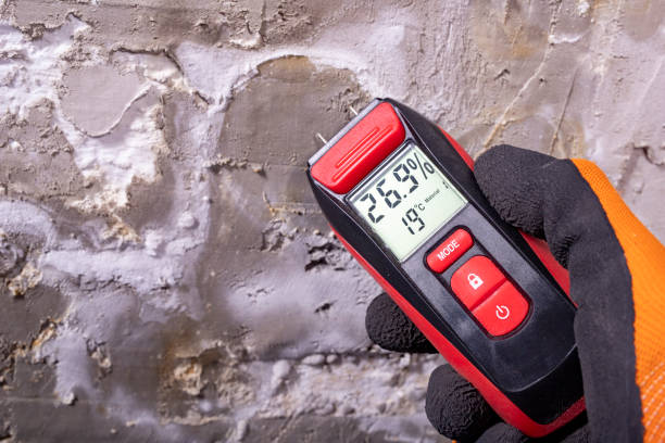 Best Certified Mold Removal  in Sutherlin, OR