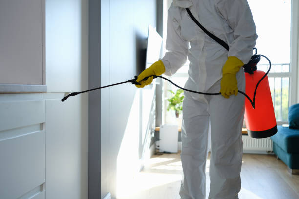 Best Emergency Mold Removal  in Sutherlin, OR