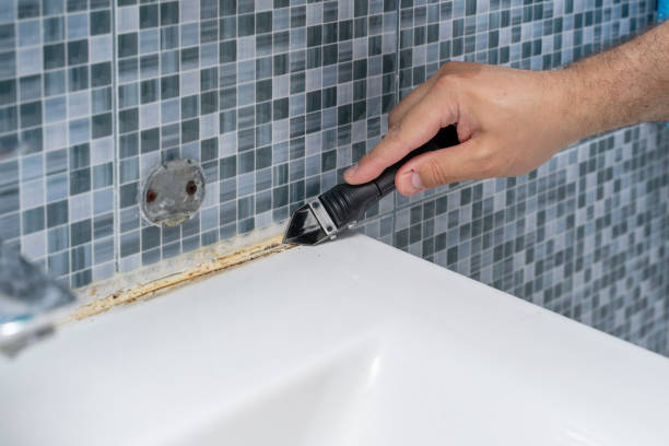 Best Toxic Mold Removal  in Sutherlin, OR