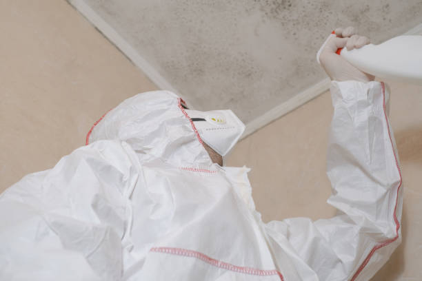 Best Mold Testing  in Sutherlin, OR