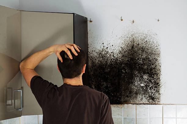Best Emergency Mold Removal  in Sutherlin, OR